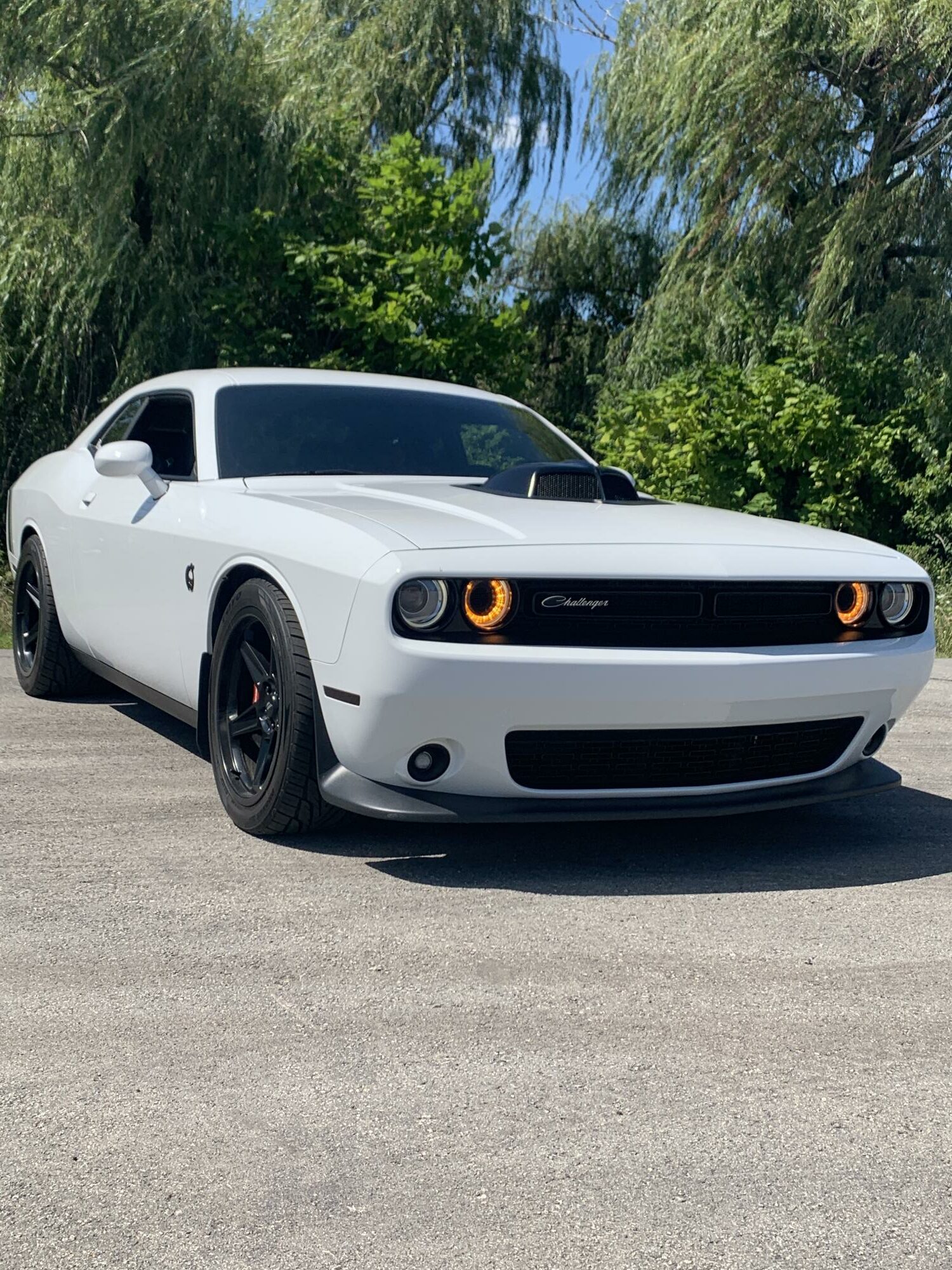 Dodge Challenger Satin Black FR 73