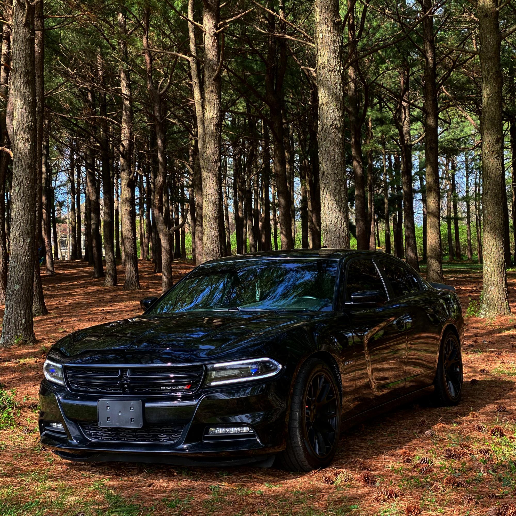Dodge Charger Satin Black FR 70