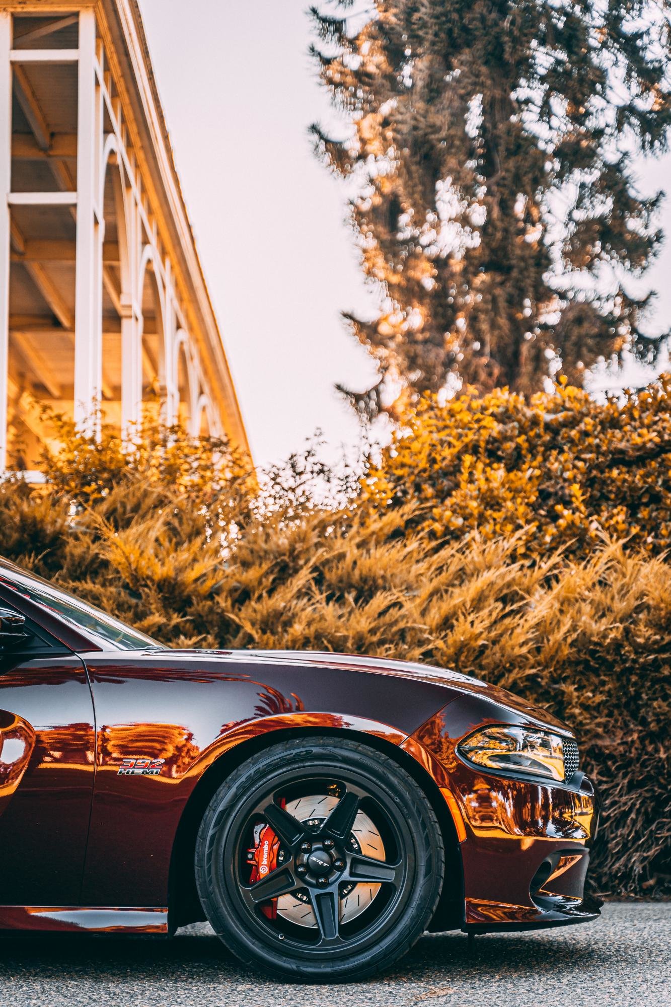 Dodge Charger Gloss Black FR 73