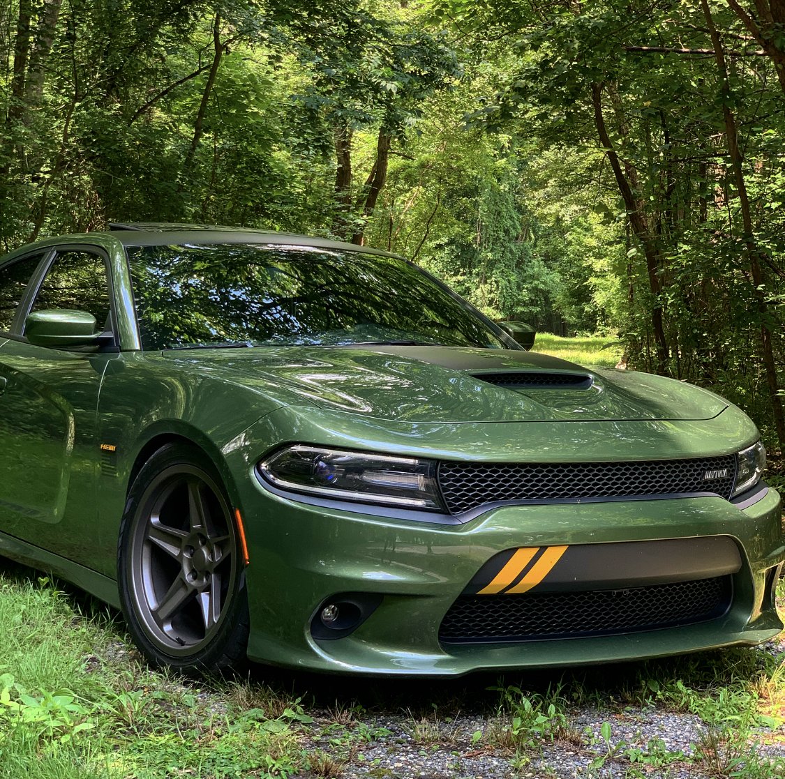 Dodge Charger Bronze FR 73