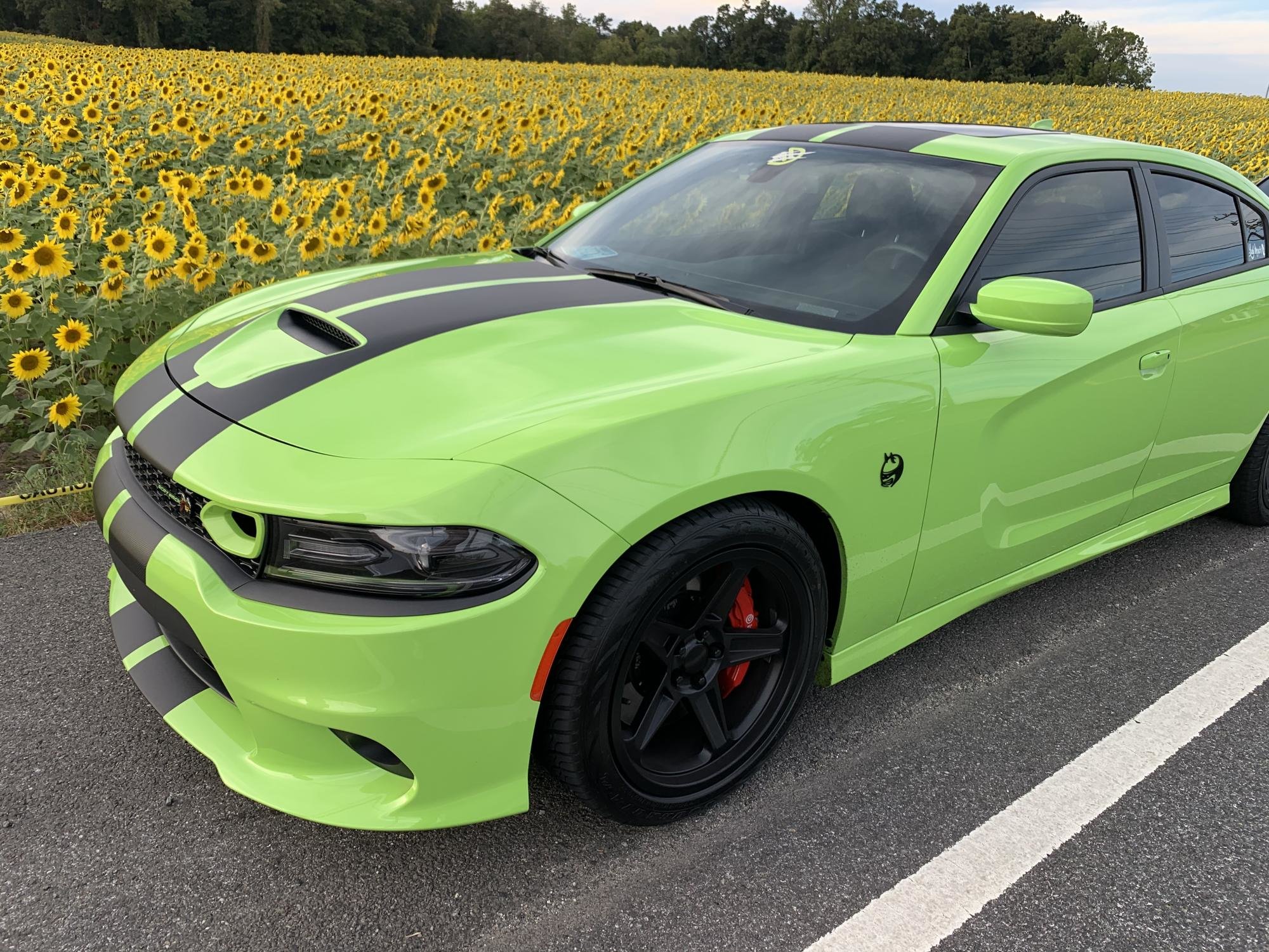 Dodge Charger Gloss Black FR 73