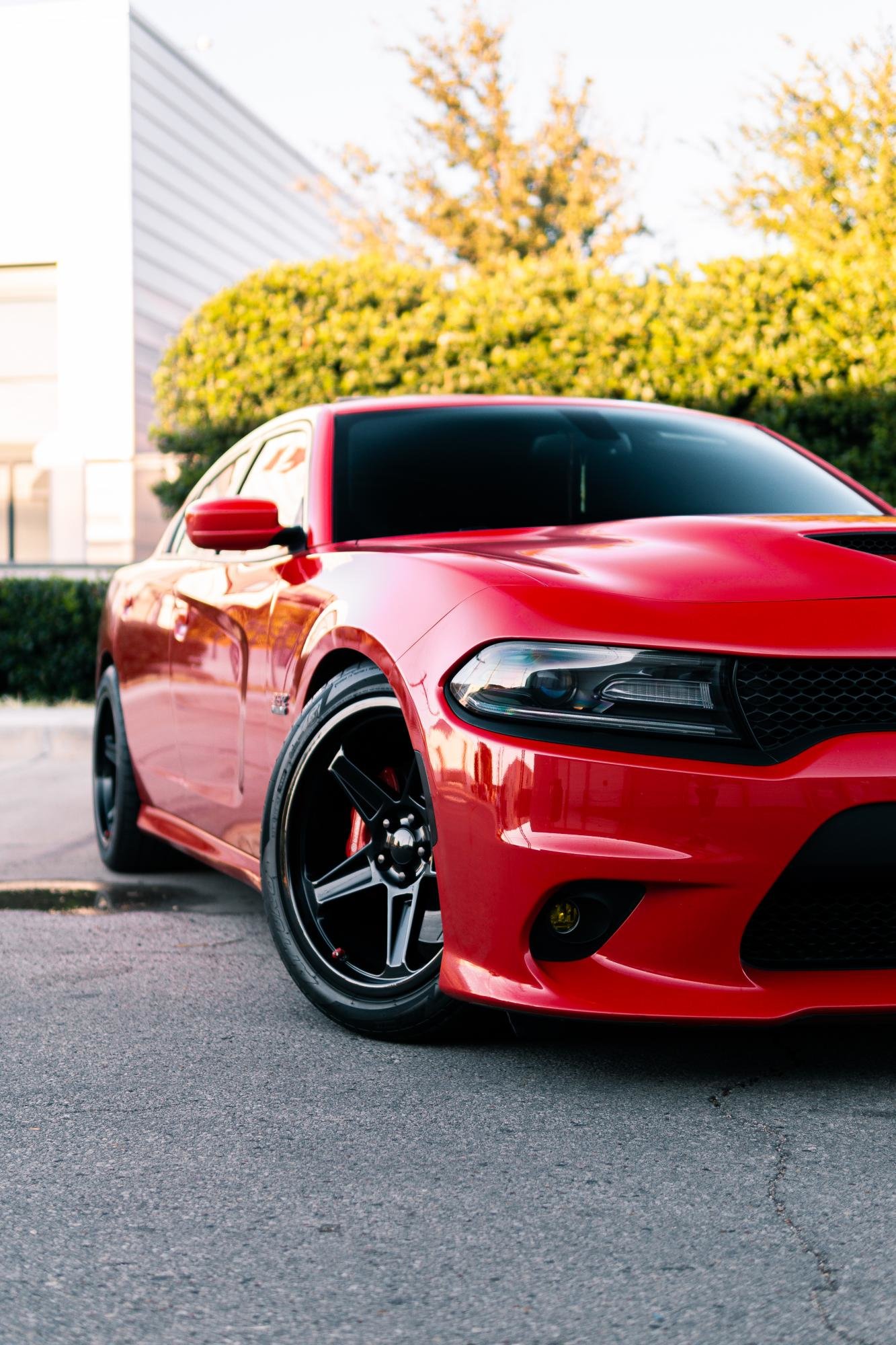 Dodge Charger Gloss Black FR 73
