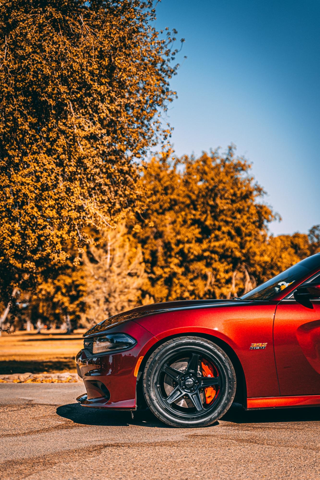 Dodge Charger Gloss Black FR 73